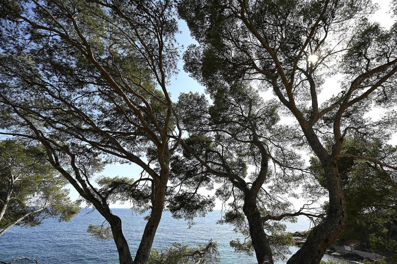 Agréable studio 2/4 pers au calme avec rez-de-jardin Bandol Exterior foto