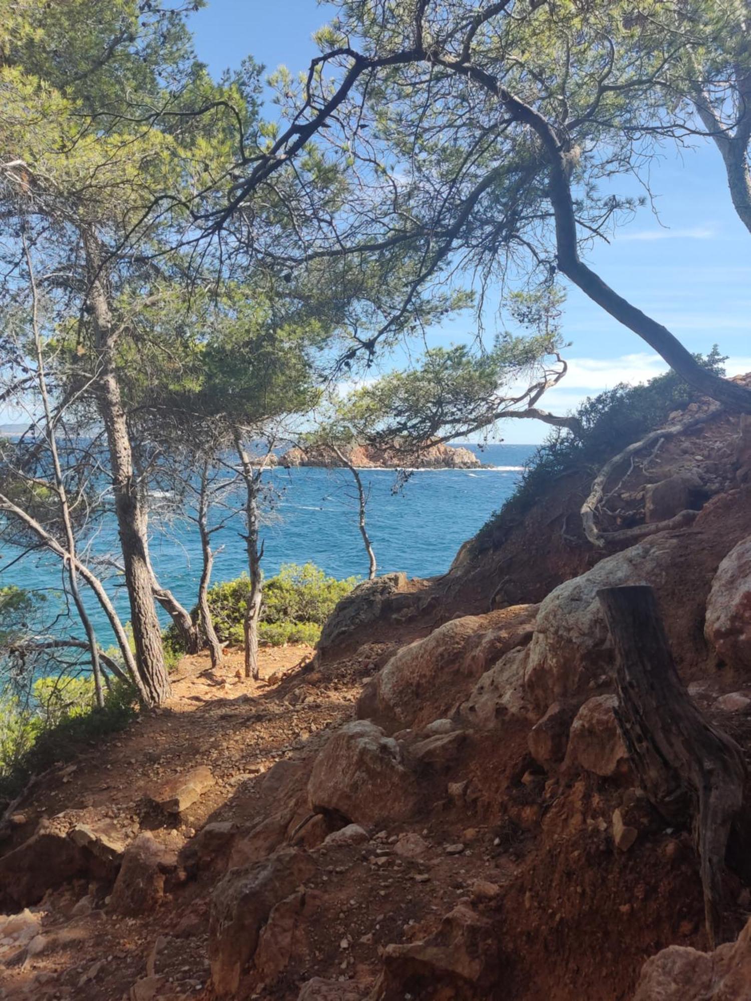 Agréable studio 2/4 pers au calme avec rez-de-jardin Bandol Exterior foto